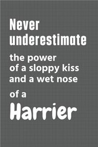 Never underestimate the power of a sloppy kiss and a wet nose of a Harrier