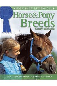 Horse and Pony Breeds