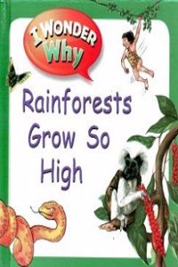 Us I Wonder Why Qe Rainforest
