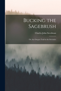 Bucking the Sagebrush