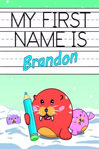 My First Name is Brandon