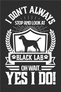 I Don't Always Stop and Look At Black Lab OH Wait, Yes I Do!