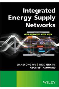 Integrated Energy Supply Networks