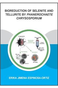 Bioreduction of Selenite and Tellurite by Phanerochaete Chrysosporium