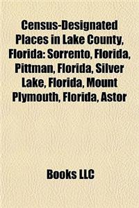 Census-Designated Places in Lake County, Florida