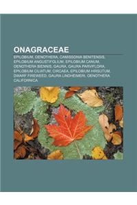 Onagraceae: Epilobium, Oenothera, Camissonia Benitensis, Epilobium Angustifolium, Epilobium Canum, Oenothera Biennis, Gaura, Gaura