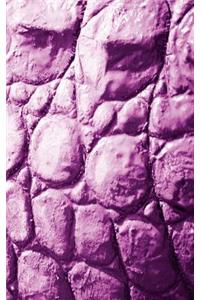 Alive! crocodile skin - Magenta duotone - Photo art notebooks (5 x 8 series)