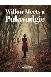 Willow Meets a Pukwudgie