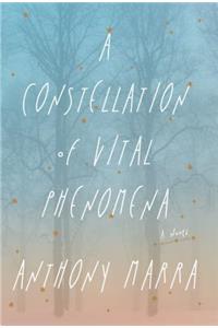 A Constellation of Vital Phenomena