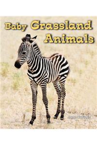 Baby Grassland Animals