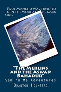 #41 "The Merlins 'n the Aswad Bahadur"