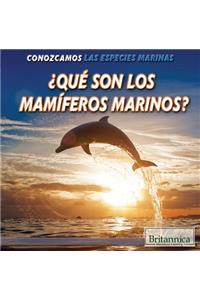 ¿Qué Son Los Mamíferos Marinos? (What Are Sea Mammals?)