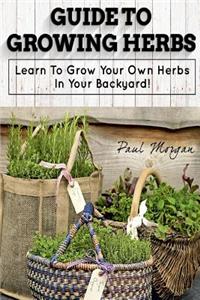 Guide to Growing Herbs: Learn to Grow Your Own Herbs in Your Backyard