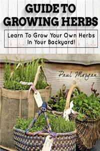 Guide to Growing Herbs