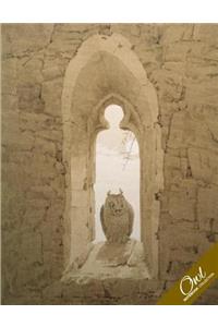 Owl Notebook Collection