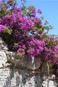 Bougainvillea on a Stone Wall Journal