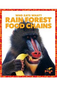 Rain Forest Food Chains