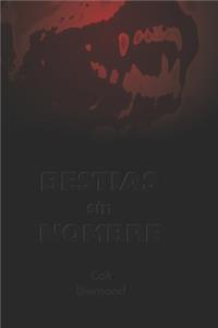 Bestias sin nombre