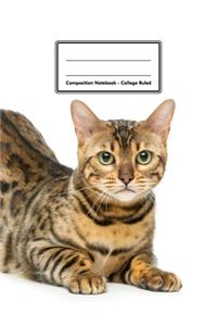 Composition Notebook - College Ruled