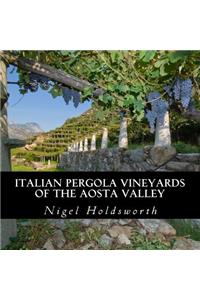 Italian Pergola Vineyards of the Aosta Valley