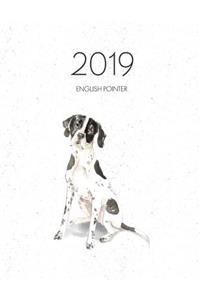 2019 English Pointer