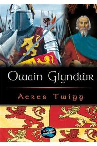 Cyfres Cip ar Gymru / Wonder Wales: Owain Glyndwr