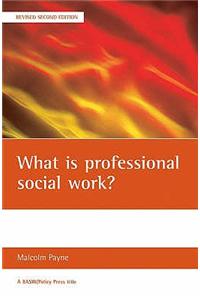 What Is Professional Social Work?