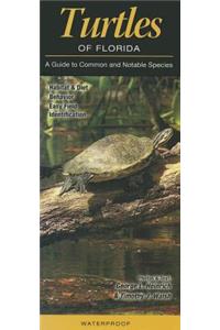 Turtles of Florida