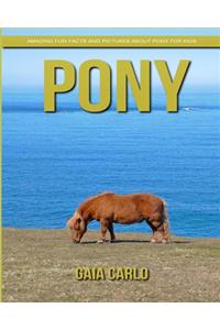 Pony