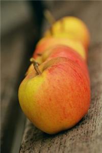 Four Apples in a Row Journal
