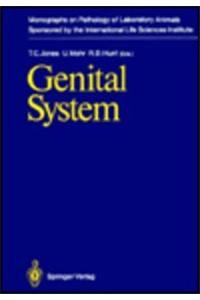 Genital System