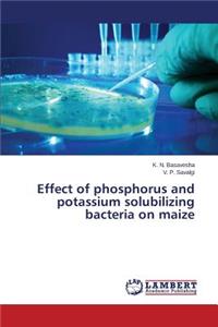 Effect of phosphorus and potassium solubilizing bacteria on maize