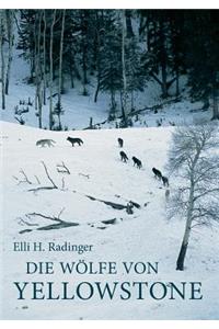 Wolfe Von Yellowstone