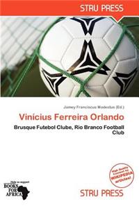 Vin Cius Ferreira Orlando