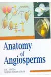 Anatomy of Angiosperms