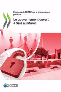 Examens de l'Ocde Sur La Gouvernance Publique Le Gouvernement Ouvert À Salé Au Maroc