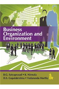 Business Organization and Environment