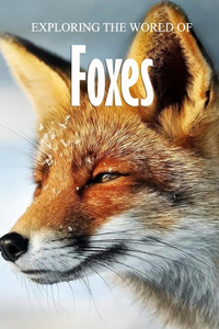 Exploring the World of Foxes