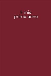 Il mio primo anno