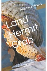 Land Hermit Crab