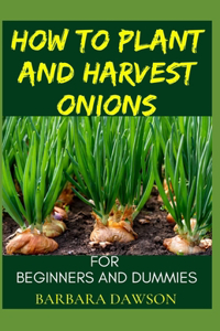 How To Plant and Harvest Onions For Beginners and Dummies