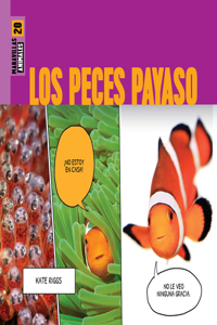 Peces Payaso
