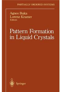 Pattern Formation in Liquid Crystals