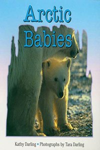 Arctic Babies (Books for Young Readers)