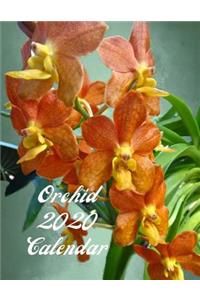 Orchid 2020 Calendar
