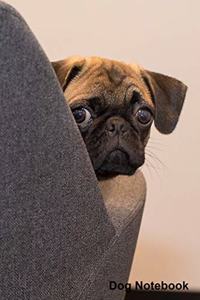 Dog Notebook