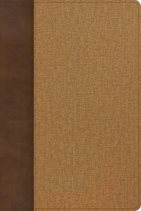 KJV Rainbow Study Bible, Brown/Tan Leathertouch, Indexed