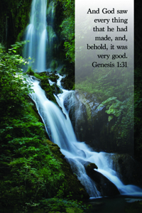 General Worship Bulletin: It Was Very Good (Package of 100)