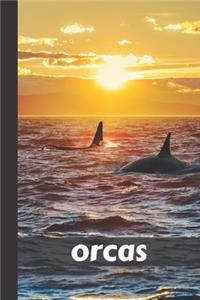 orcas