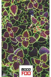 Mood Foo(tm) - Mind Over Mood - Notebook, Log, Journal - Pattern Series - 017